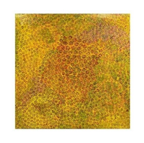Amarillo 50 x 50