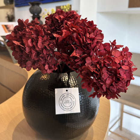 Flores - Hortencias Rojas