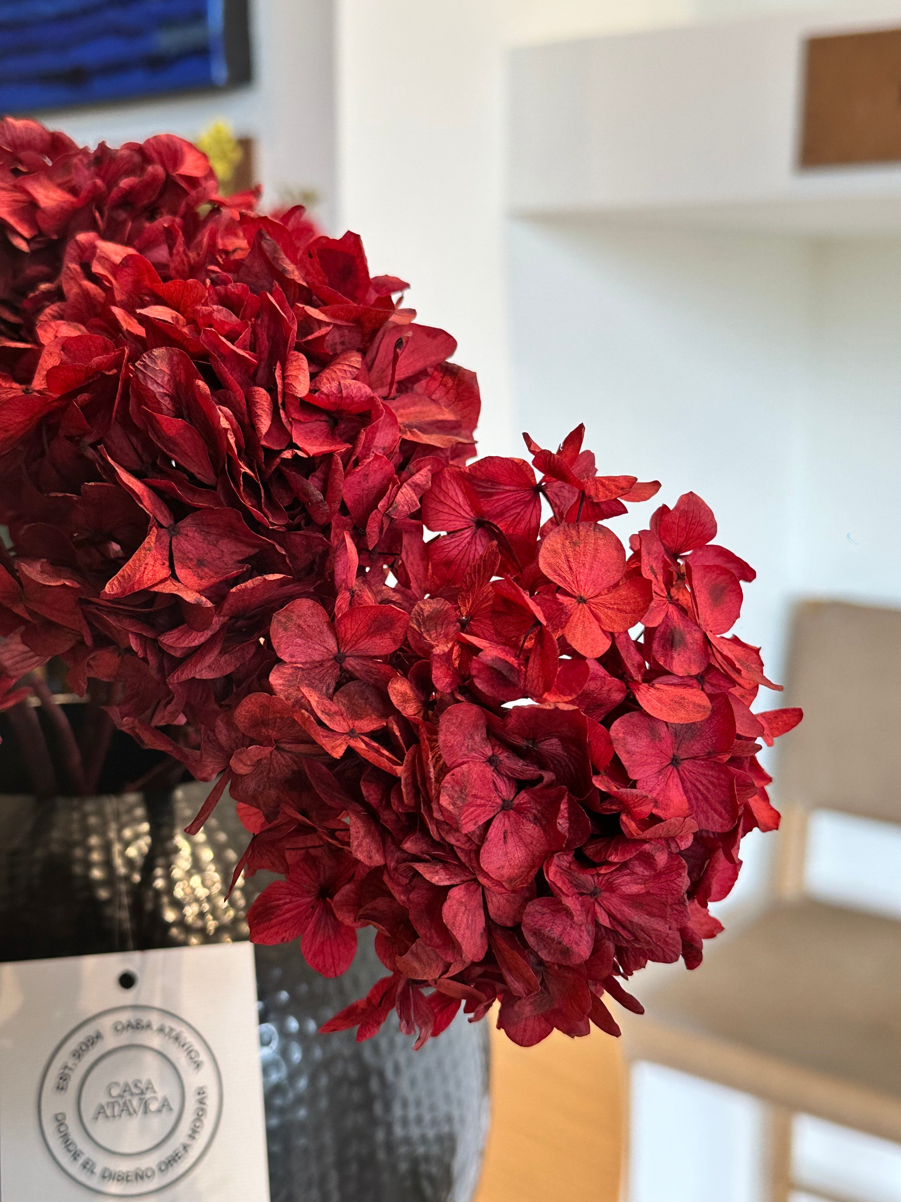 Flores - Hortencias Rojas