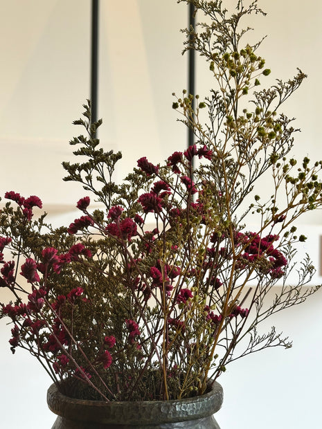 Flores - Estatice Roja y Nuebe Blanca