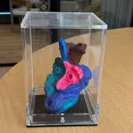 Rostros de Colores 20 x 15 x 15